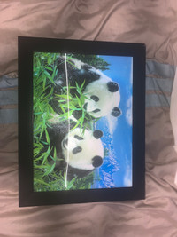 Holographic panda painting 