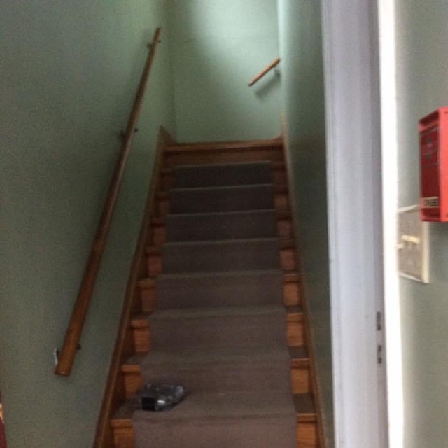 Pet friendly apartment for rent Long Term Rentals Winnipeg Kijiji