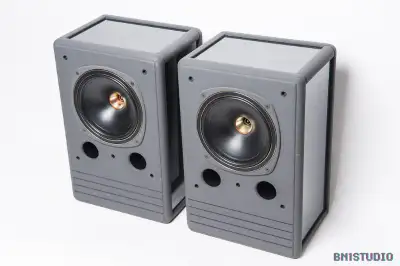 Tannoy NFM-8 II Monitors / TS-8 Subs - Trades, View more