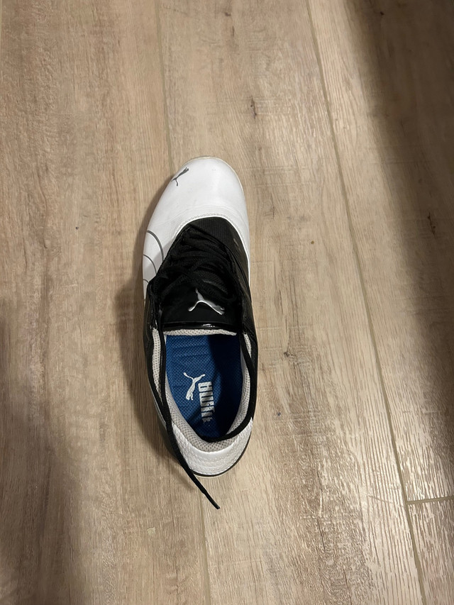Puma golf shoes size 9.5 men’s  in Golf in Cranbrook - Image 3