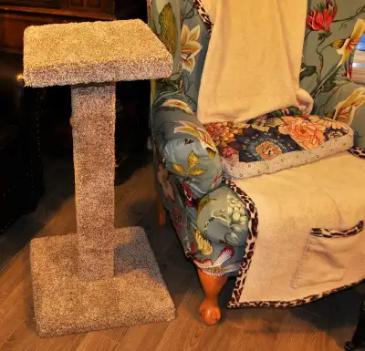 Custom Built Cat Scratch Post, View more