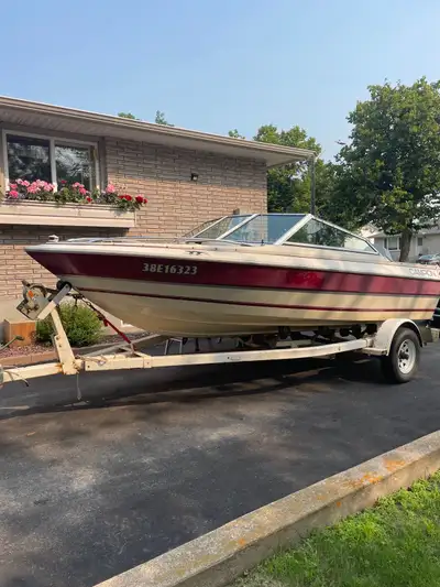 110 hp Evinrude recently serviced new fuel pump 16 foot Roller bunk trailer Lowrance fish finder Blu...
