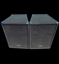Community 15" Speakers and QSC Power Amplifier