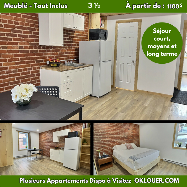 APPARTEMENT MEUBLÉ-TOUT INCLUS, 1 CHAMBRE 3 1/2 CENTRE VILLE