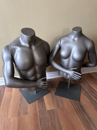 Mannequin Set - Torso and Arms