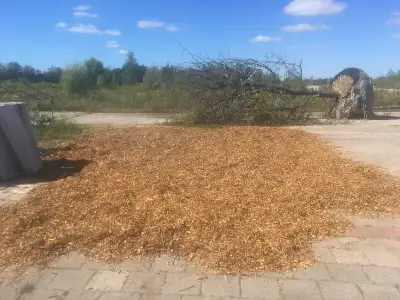 - Can sell by bag or by bin - $7 per bag, $40 per bin (about 10 bags in a bin) *Wood Chips* - Dry an...