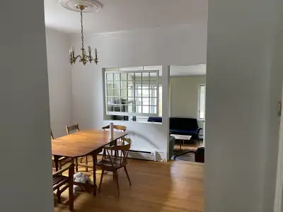 Interior House Painting  & Repairs , View more