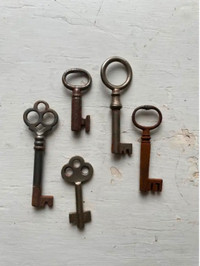 Skeleton keys. Antique keys.