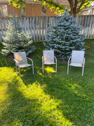 Three patio chairs - $10 takes all three, View more