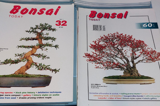 BONSAI Today Lot of 33 Magazines in Magazines in Kingston - Image 2