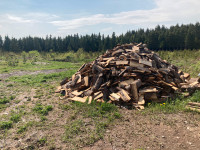 Croûte d’épinettes pour bois d’allumage ou bois de camping 