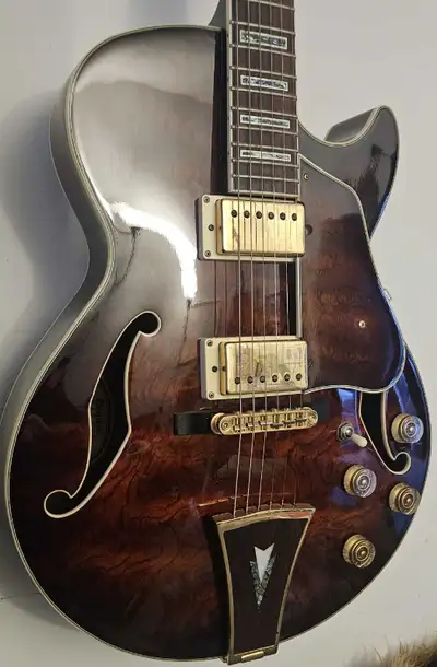 Electric Guitar , View more