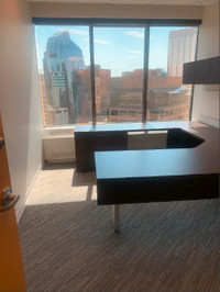 Private Offices Downtown Core ($229.99)