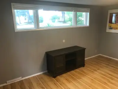 Basement Suite in NE Edmonton Newton Neighbourhood