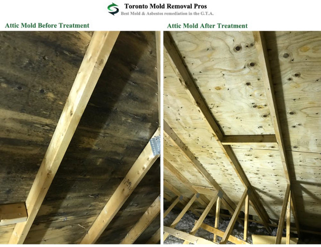 Call/Text! Affordable Mold, Asbestos, Vermiculite, Fire Damage in Renovations, General Contracting & Handyman in City of Toronto - Image 4