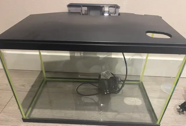 aquarium 5 gallon in Other in Laval / North Shore - Image 2
