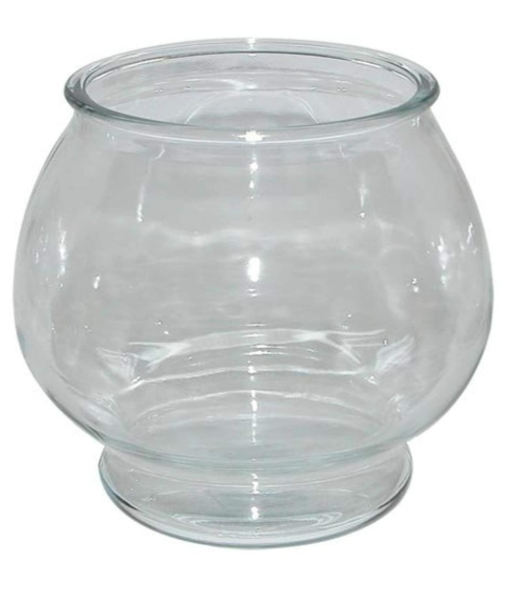 Many small aquariums for sale price in description. in Fish for Rehoming in Saint John - Image 3