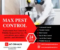 Pest Control Experts: Your Solution to a Pest-Free Home!