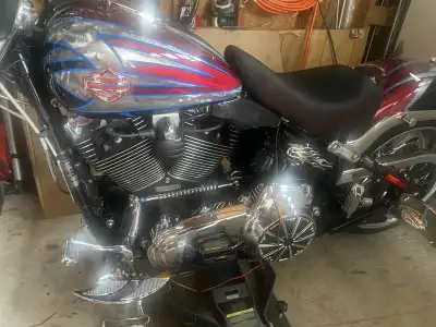 Upgraded - 14” Ape Hanger Handle Bars , LED Headlights, Vance&Hines Exhaust, Chrome Magwheels , Etc....