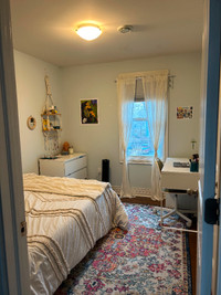 Room for Rent in Halifax, 5 bedroom 2 bath