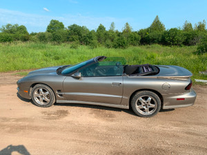 2001 Pontiac Trans Am WS 6