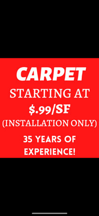 NEXT DAY CARPET SERVICE 35 YEARS EXP 24 HR TEXT 289 952 9010