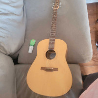 Seagull acoustic guitar and bag
