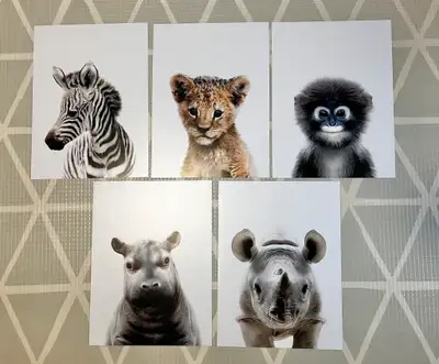 5 Baby Animal Prints – African Animals - 12x16", View more