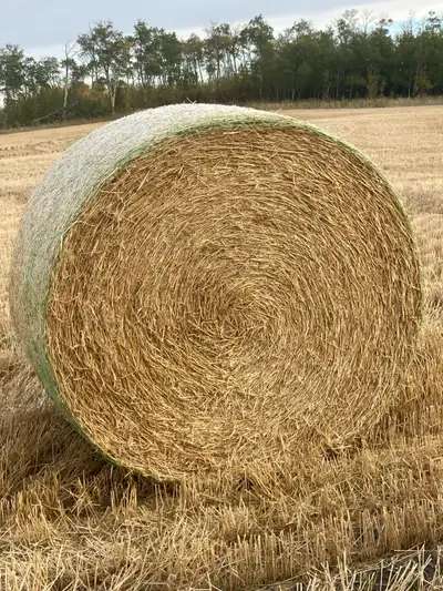 straw bales, View more