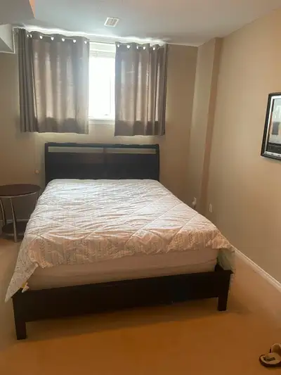 I'm looking for a female student and/or professional