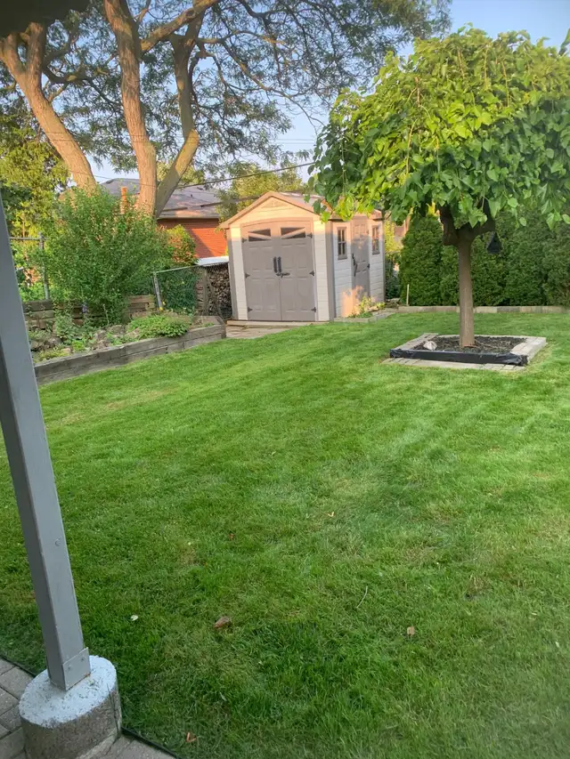 Affordable Lawn mowing services for Scarborough and Markham ECO62866659487491121