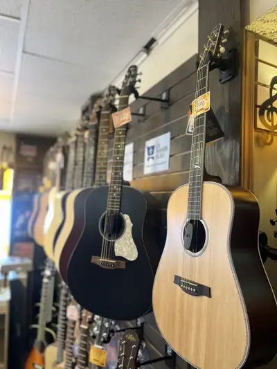 Plusieurs guitares Seagulls!!, View more