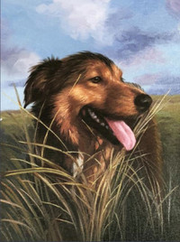 Quality hand painted Oil Portraits of your Pet