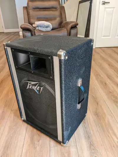 caisson/speaker Peavey 15", View more