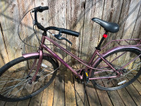 Raleigh Sundance Hybrid Bike 700C