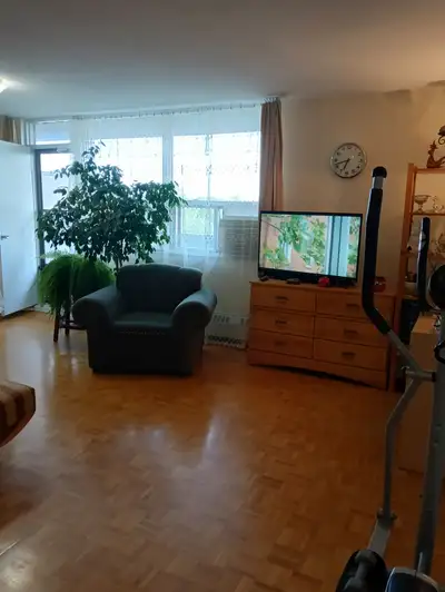 Furnished, bright, large 1 bdr apt. from July 31 to Sept8