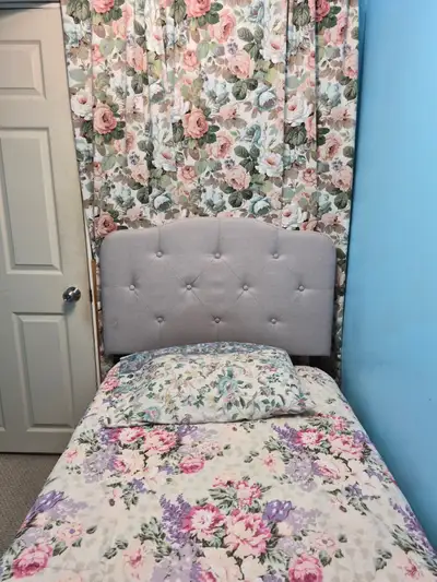 Nicely Furnish Room in the Basement Appleby/Corporate Dr. The room is located in a quiet clean and r...