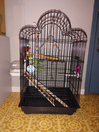 Bird cage and accessories 