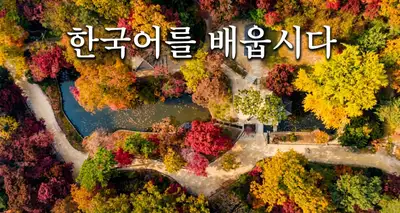 Korean Tutor in Oakville & Online | Native Speaker, View more
