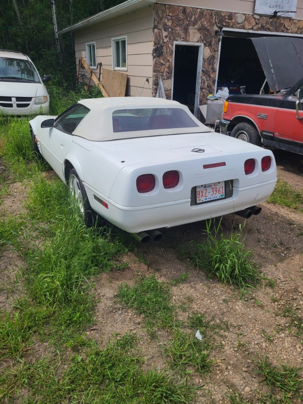 1991 Corvette convertible in Classic Cars in Edmonton - Image 4