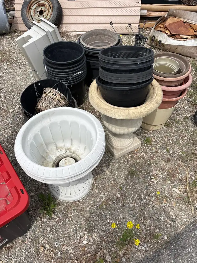 plant pots Free in Free Stuff in Kelowna - Image 2