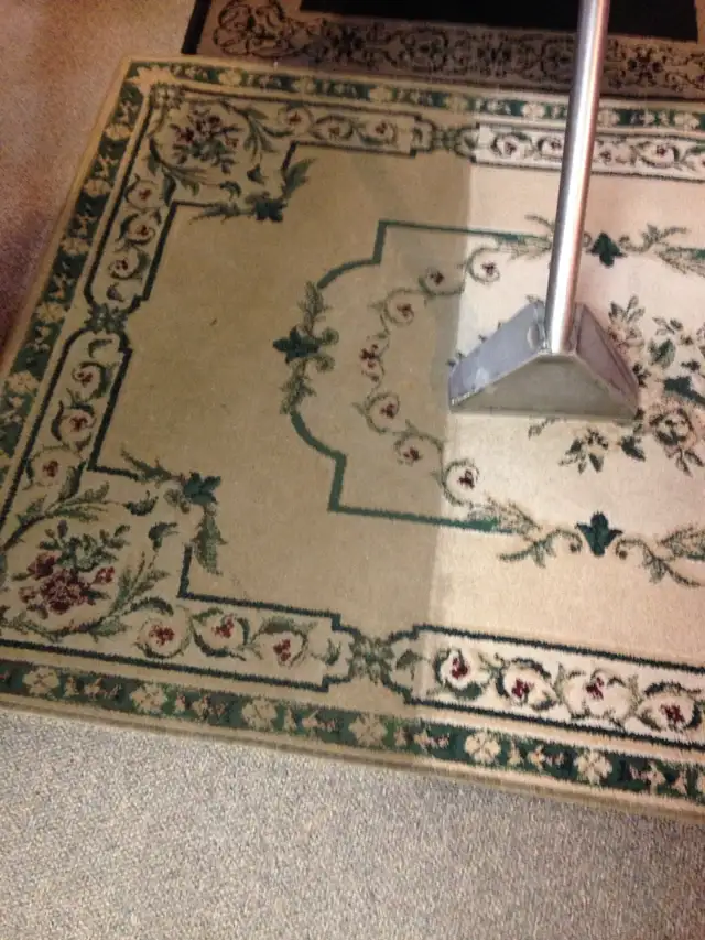 Carpet and Upholstery Cleaning in Condos for Sale in Saskatoon - Image 8