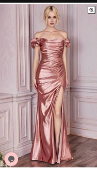 Brand New Rose Gold Grad Dress 