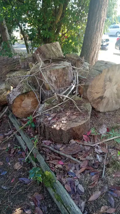 Firewood , View more