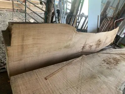 got a tree down want it milled, View more