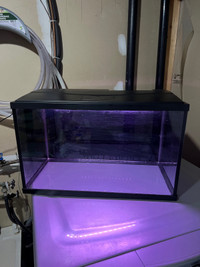 10 Gallon Aquarium w/canopy & light