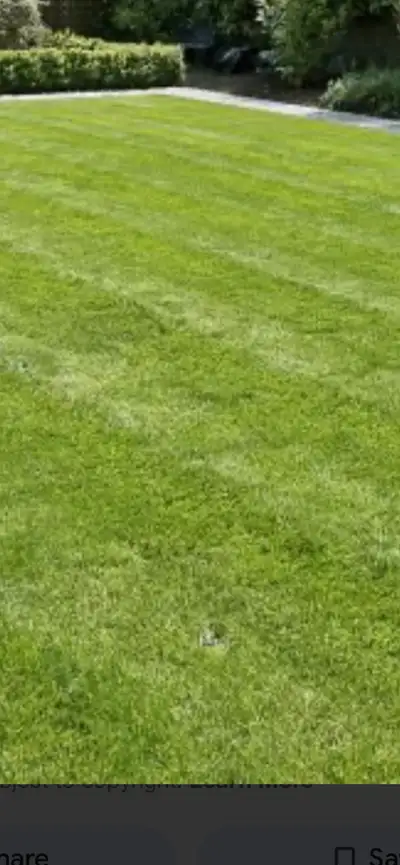 Cheap Grasscutting for you , View more