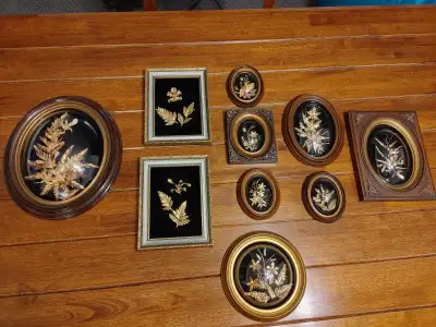 Antiquité. Fleurs d'orchidée enrobés de 24k (24 carats). Souvenirs provenant d'Hawaii. Vendu en lot...