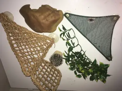 Reptile accessories, Fake Plants, Hide, Hammock, Terrarium, View more