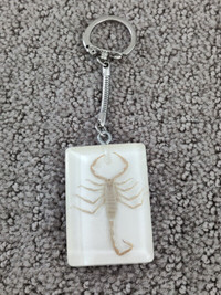 Keychain Clear Acrylic Scorpion Insect Key Chain 1-1/4" x 1-7/8"